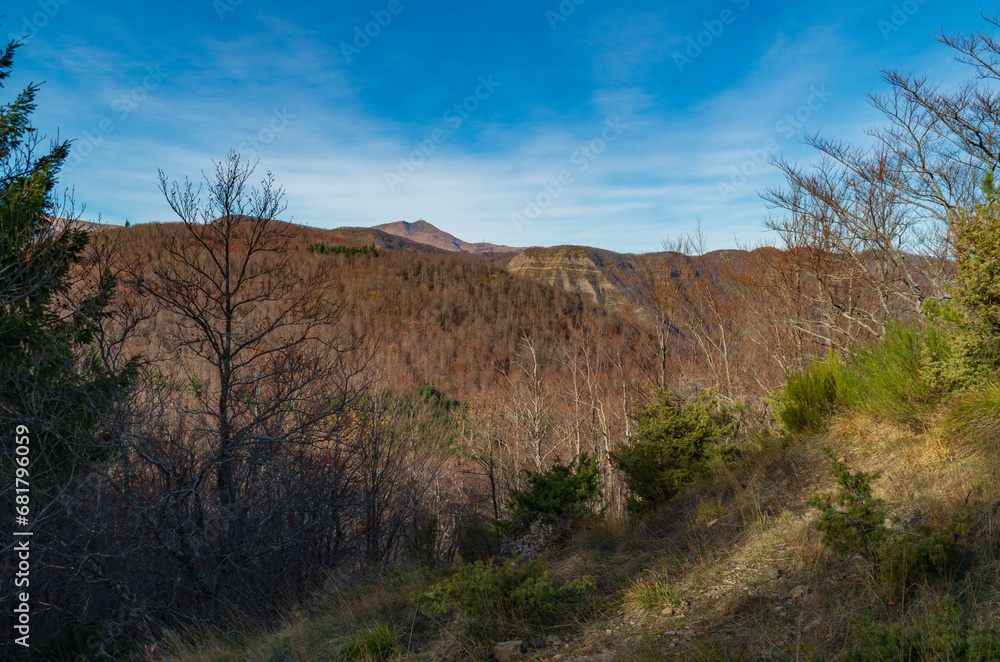 Il bosco in montagna a inizio inverno e vista sul Cimone