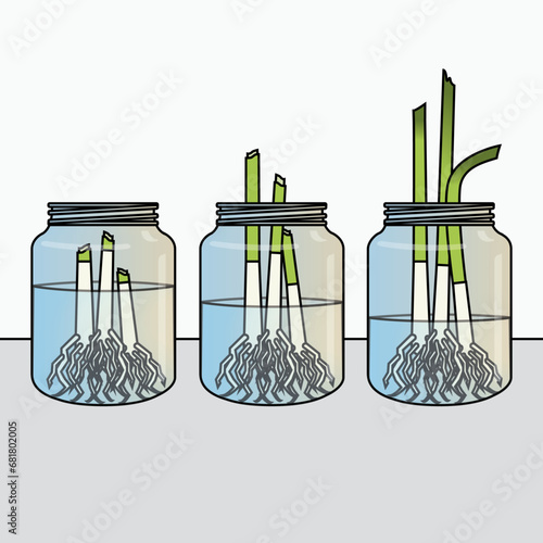 Onion Propagation