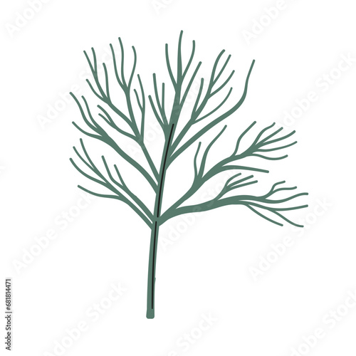 Dill Seasoning