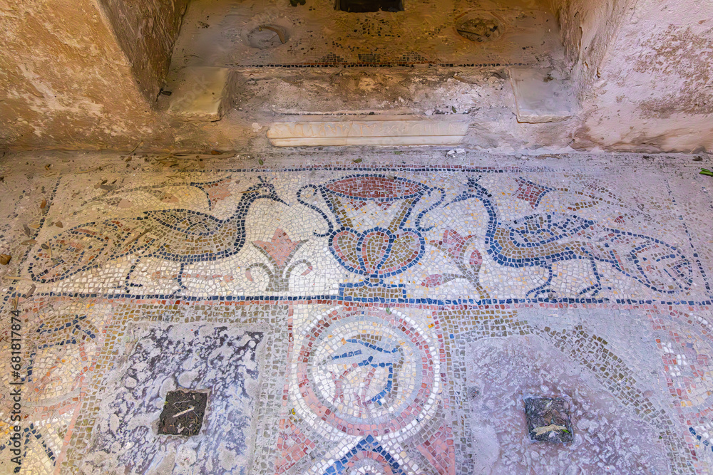 Tile mosaic floor at the Baths of Antoninus in Carthage.