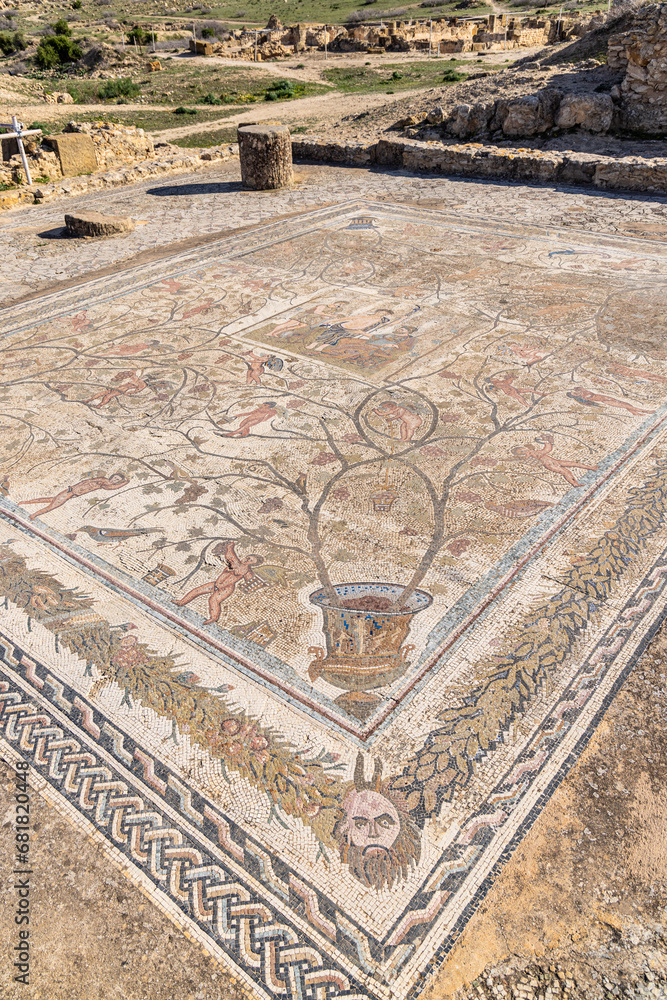 Roman mosaic floor with a satyr and grape vines at the Uthina Archaeological Site.