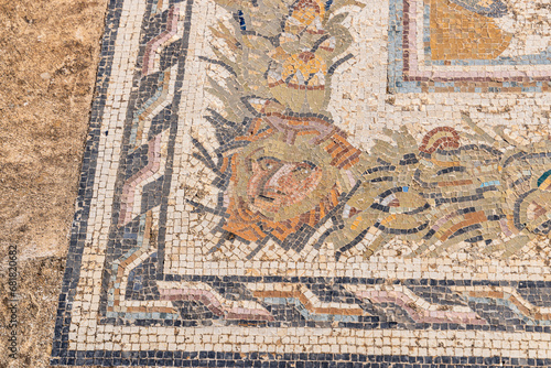 Detail of a Roman mosaic floor at the Uthina Archaeological Site.