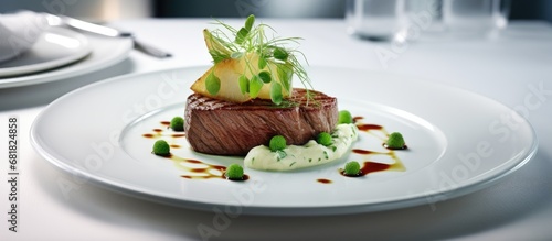 In the elegant white and green kitchen, a gourmet dinner was being prepared, featuring a mouthwatering Countryn cuisine dish of beef, served on a white plate with creamy potato sauce, adding a sour photo