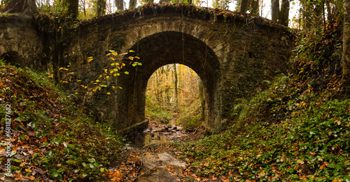 Old bridge with stream in late fall forest