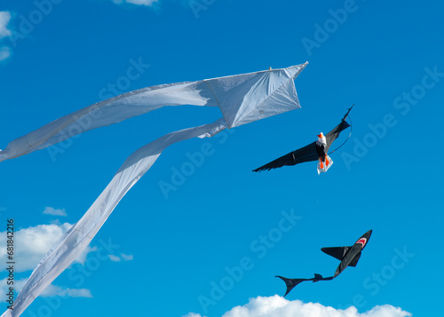 Kites In Flight