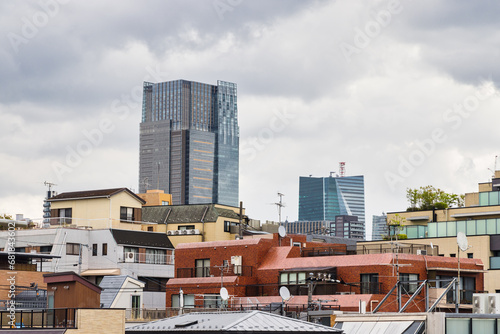 Typical view over house roofs with high-rise buildings in the background, in Tokyo, Japan