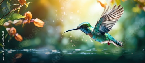 In the beautiful embrace of nature, a colorful bird with black, blue, and white feathers soared through the vibrant green trees, high in the sky above the crystal-clear lake, reminding us of the
