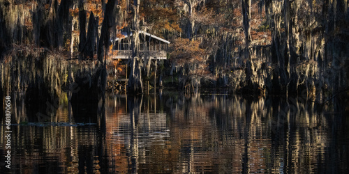 Caddo Lake is a bayou in east Texas filled with cypress trees with needles that turn red, yellow and orange in the fall. When the trees are backlit, the Spanish Moss glows. photo