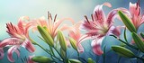 In the tropical garden, a stunning floral display unfolded, as the pink Asiatic lilies bloomed, their vibrant petals adorned with spotted stains and delicate spots, while the filaments and anther of
