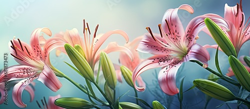 In the tropical garden, a stunning floral display unfolded, as the pink Asiatic lilies bloomed, their vibrant petals adorned with spotted stains and delicate spots, while the filaments and anther of photo