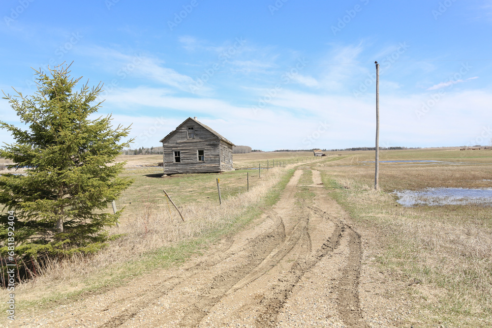dirt trail with an abandoned house on the prairies dirt trail with an abandoned house on the prairies