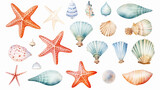 watercolor isolated object sea shells starfish