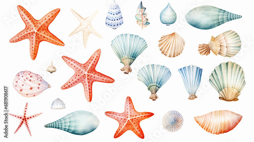 watercolor isolated object sea shells starfish photo