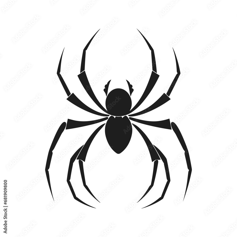 Cobweb Vector isolated on a White background, Spider and web silhouette Cobweb Vector isolated on a White background, Spider and web silhouette