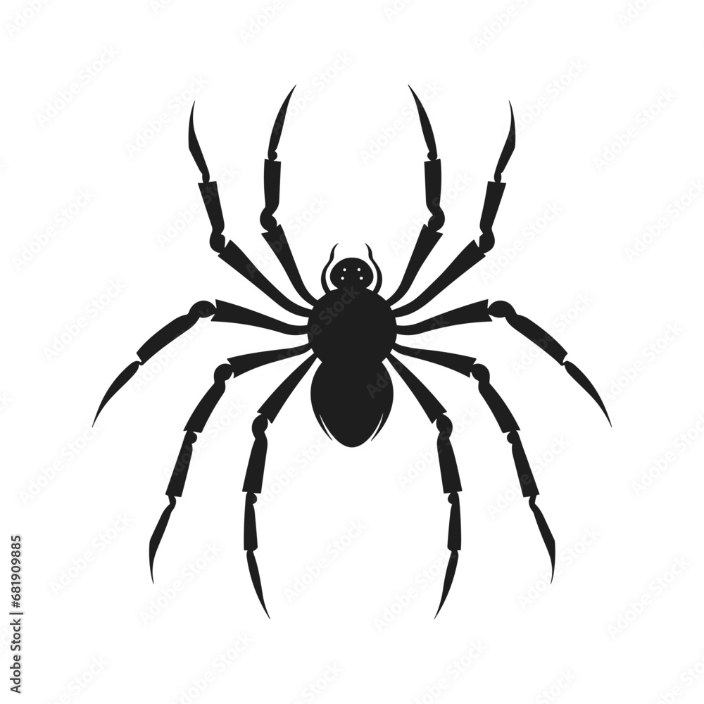 Cobweb Vector isolated on a White background, Spider and web silhouette Cobweb Vector isolated on a White background, Spider and web silhouette