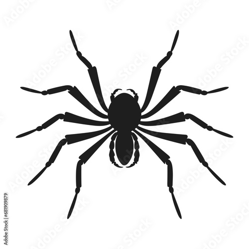 Cobweb Vector isolated on a White background, Spider and web silhouette
