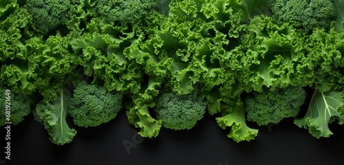 top view of Kale with copy space for text on white background. photo