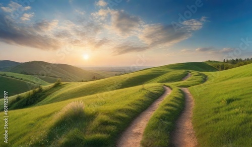 Panoramic natural landscape with green grass field, blue sky with clouds and mountains in background.