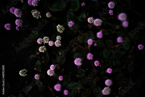 花