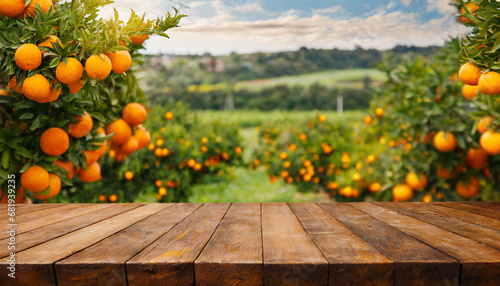Empty wood table with free space over orange trees, orange field background. For product display montage