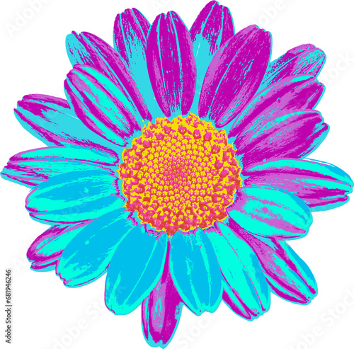 Vibrant purple teal daisy