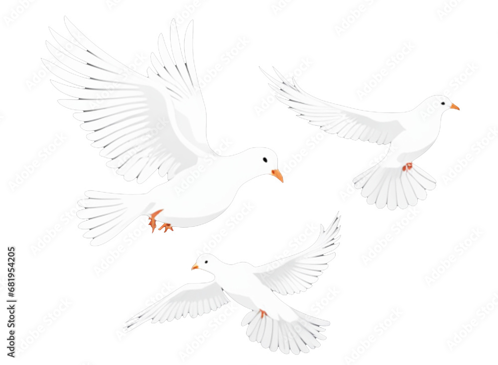 Obraz premium A free flying white dove isolated on transparent background