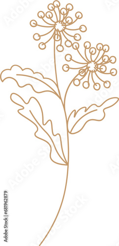 Fototapeta Naklejka Na Ścianę i Meble -  Floral Line Hand Drawn