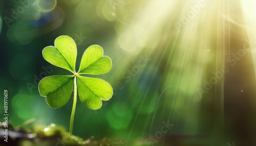 Four-leaf Clover alone in a glowing forest, close-up shot