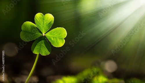 Four-leaf Clover alone in a glowing forest, close-up shot
