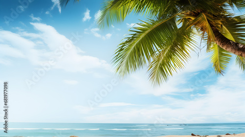 Fototapeta Naklejka Na Ścianę i Meble -  beach with palm trees