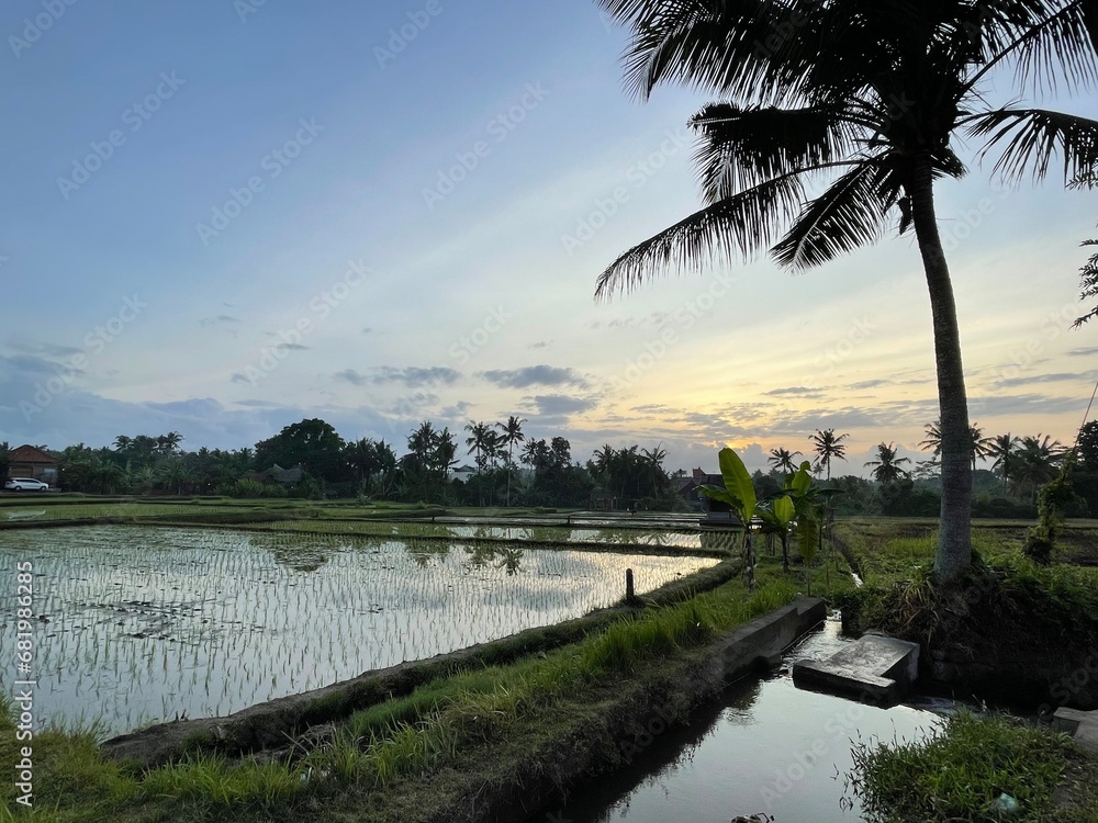 Fototapeta premium Bali Sunrise