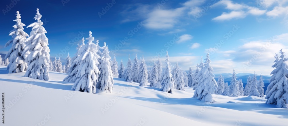 In the stunning winter landscape of Europe, a traveler found solace in a serene forest covered with snow, where tall trees stood tall and proud, forming a breathtaking white panorama. As a new year - obrazy, fototapety, plakaty 