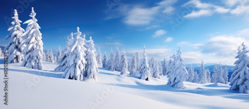 In the stunning winter landscape of Europe, a traveler found solace in a serene forest covered with snow, where tall trees stood tall and proud, forming a breathtaking white panorama. As a new year photo