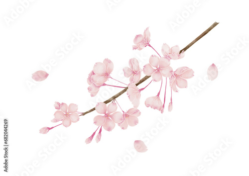 桜の枝のイラスト