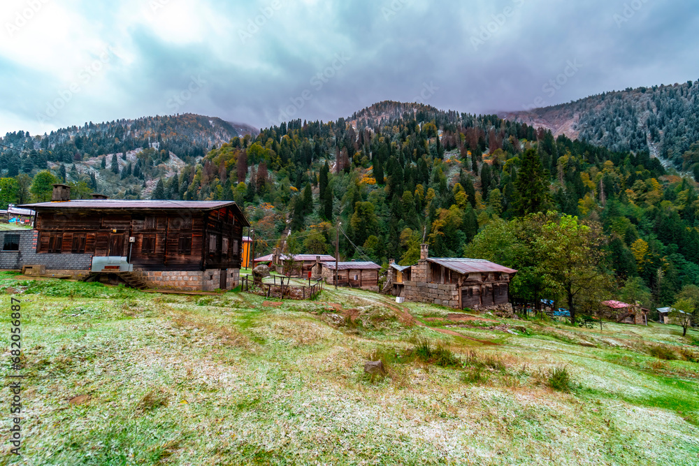 A wooden plateau house integrated with the forest that turns yellow with the autumn season. Plateau houses are made of stone and wood. Old stone houses. Rize, Turkey.
