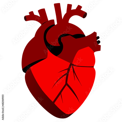 human heart beat vector