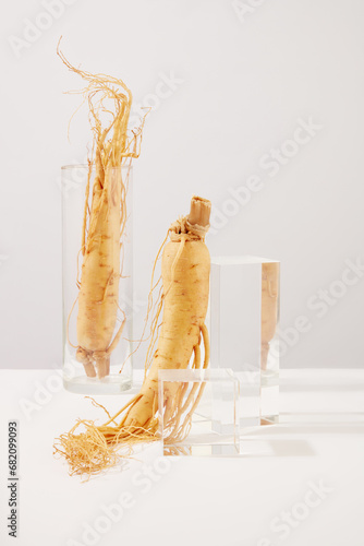 Minimal concept for advertising product extract of ginseng. Fresh ginseng roots placed on glass vase and transparent podiums on white background. Space for product presentation