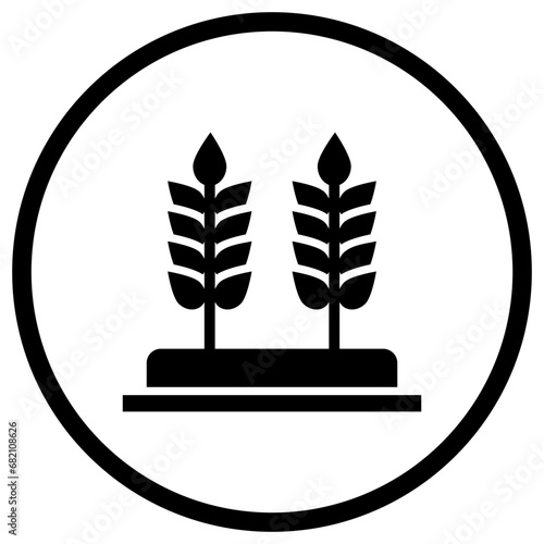 Wheat Vector Icon Design Illustration