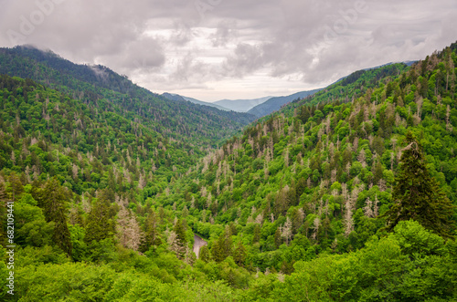 An Overlook on a Moody Day at the Great Smoky Mountains National Park in North Carolina