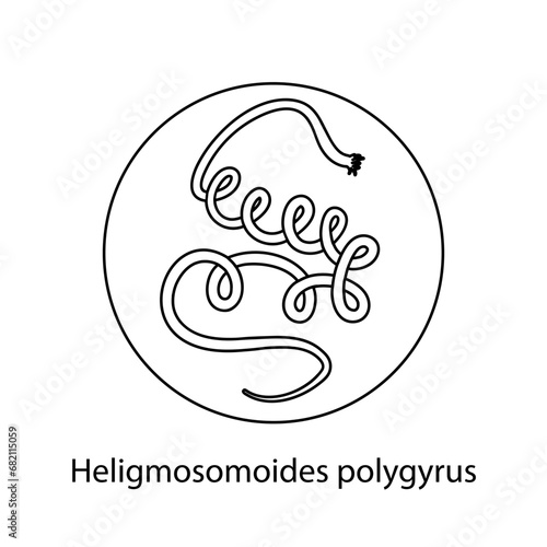 Parasites, worms, helminths in humans, cats, dogs. Hand drawing.