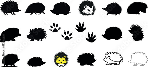 Hedgehog vector illustration set, diverse styles, poses. realistic, silhouette styles. Features nocturnal, omnivore mammal, Erinaceidae family. Includes footprints, paw prints, hedgehog tracks