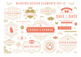 Vintage wedding and valentines day decorative ornament design elements set vector illustration