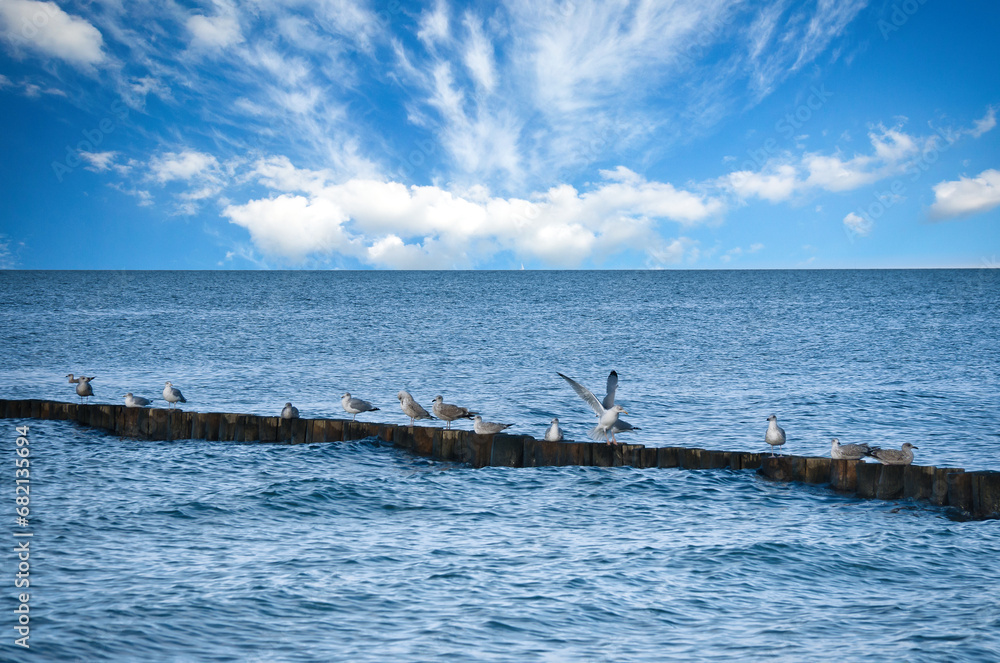 Seagulls on a groyne in the Baltic Sea. Waves and blue sky. Coast by the sea.