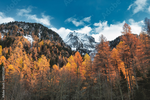 Autumn landscape with forest and high mountains