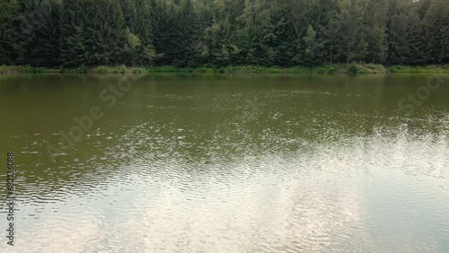 Sunlight flickering on a lake's surface and the forest spreading beyond in Radalj, Serbia photo