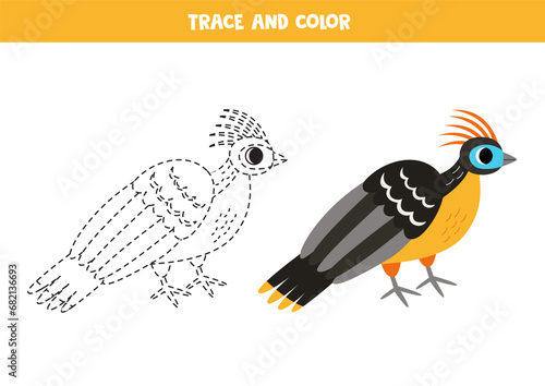 Trace and color cartoon hoatzin. Worksheet for children.