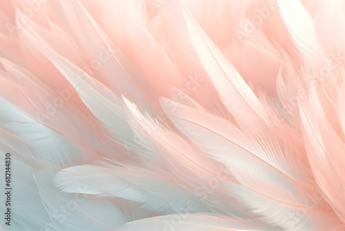 Image Nature Art of Wings Bird,soft Pastel Detail of Design,chicken Feather Texture,white Fluffy Twirled on Transparent Background Wallpaper Abstract. Coral Pink Color Trends and Vintage. © DavidGalih | Dikomo.