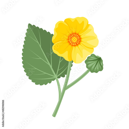 Vector illustration, Sida cordifolia flower with green leaves, herbal plant, isolated on white background.