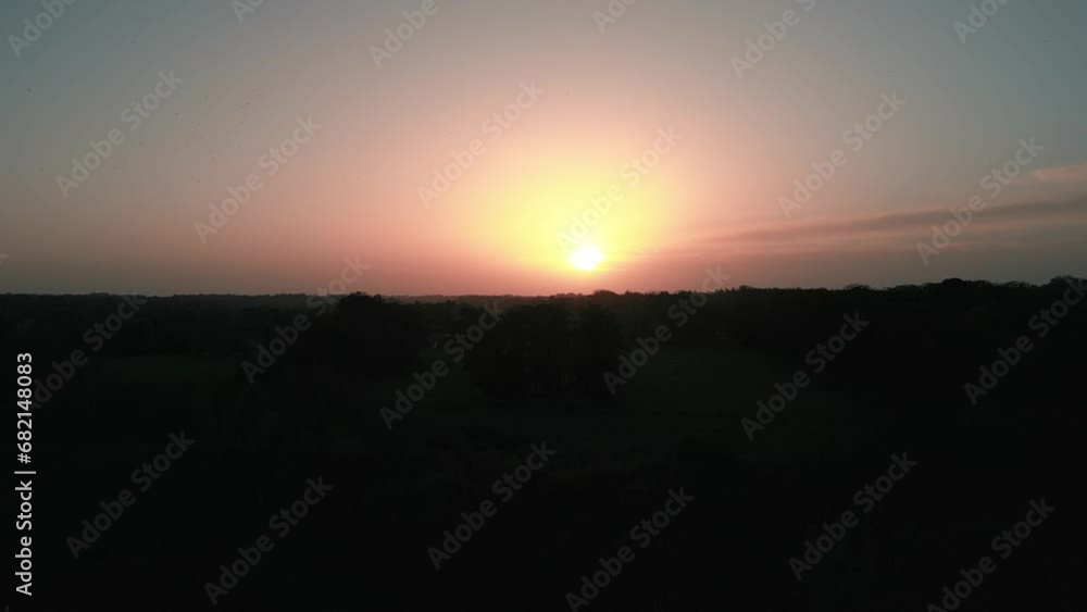 Slow pedestal descending from focusing on the setting sun in the horizon, down to the trees and tall grass in the fields in the outskirts of Thetford east of London, United Kingdom. Slow pedestal descending from focusing on the setting sun in the horizon, down to the trees and tall grass in the fields in the outskirts of Thetford east of London, United Kingdom.