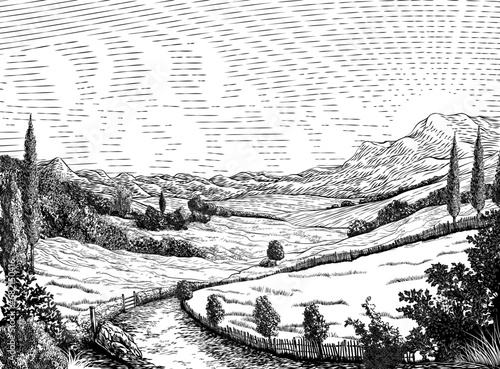 A landscape of rolling hills and sun in cloudy sky. Original vintage rural farm or vineyard illustration in a vintage woodcut engraving style.